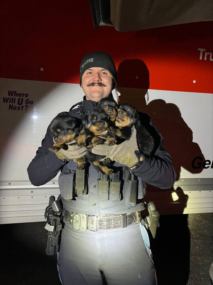 25 Dogs Rescued from Stolen U-Haul Truck in Klamath Falls